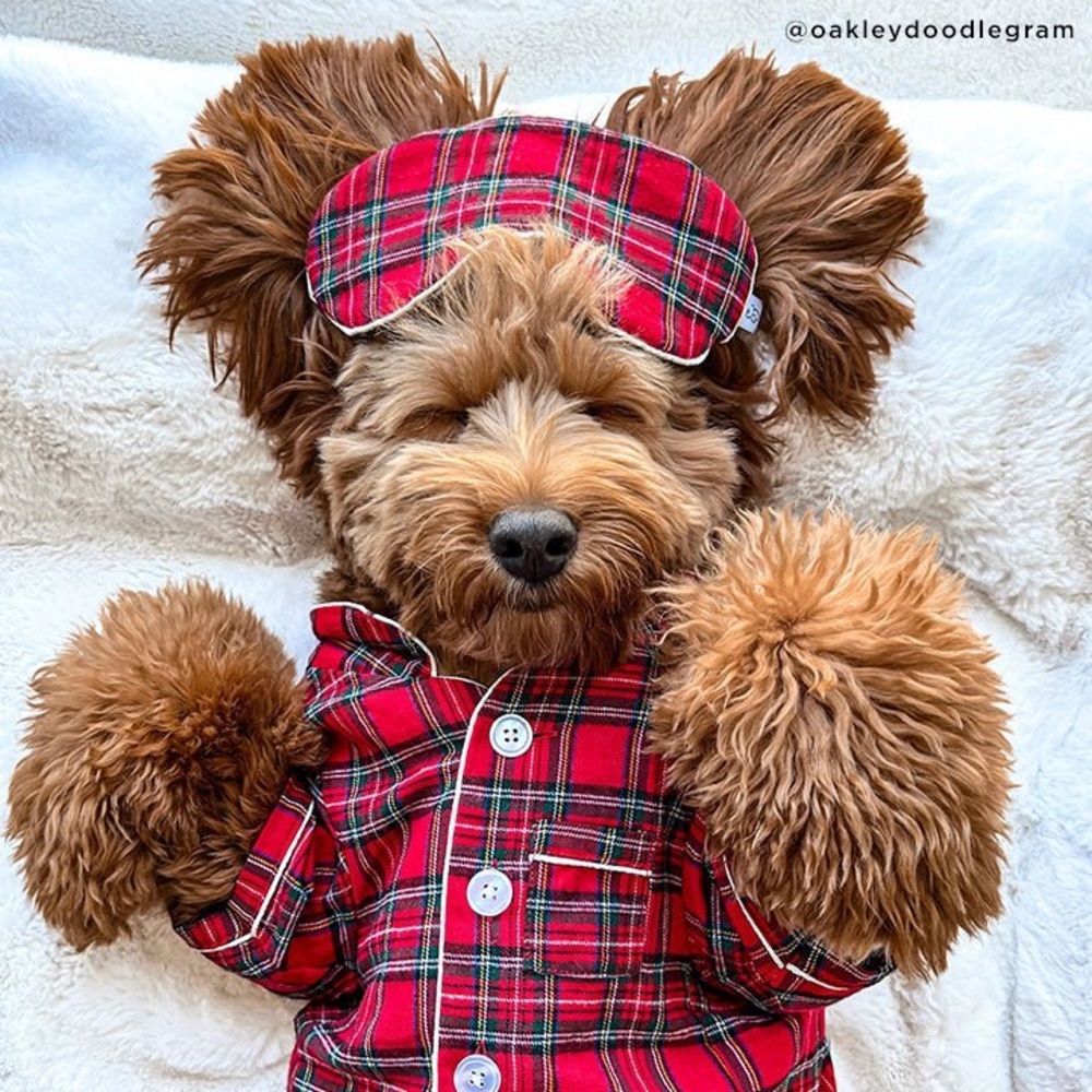 Lucy & Co Holiday Plaid PJ’s